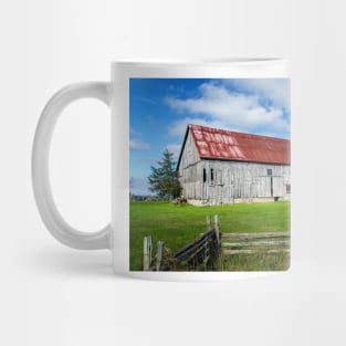 Old Barn With Red Roof, Prince Edward County Mug